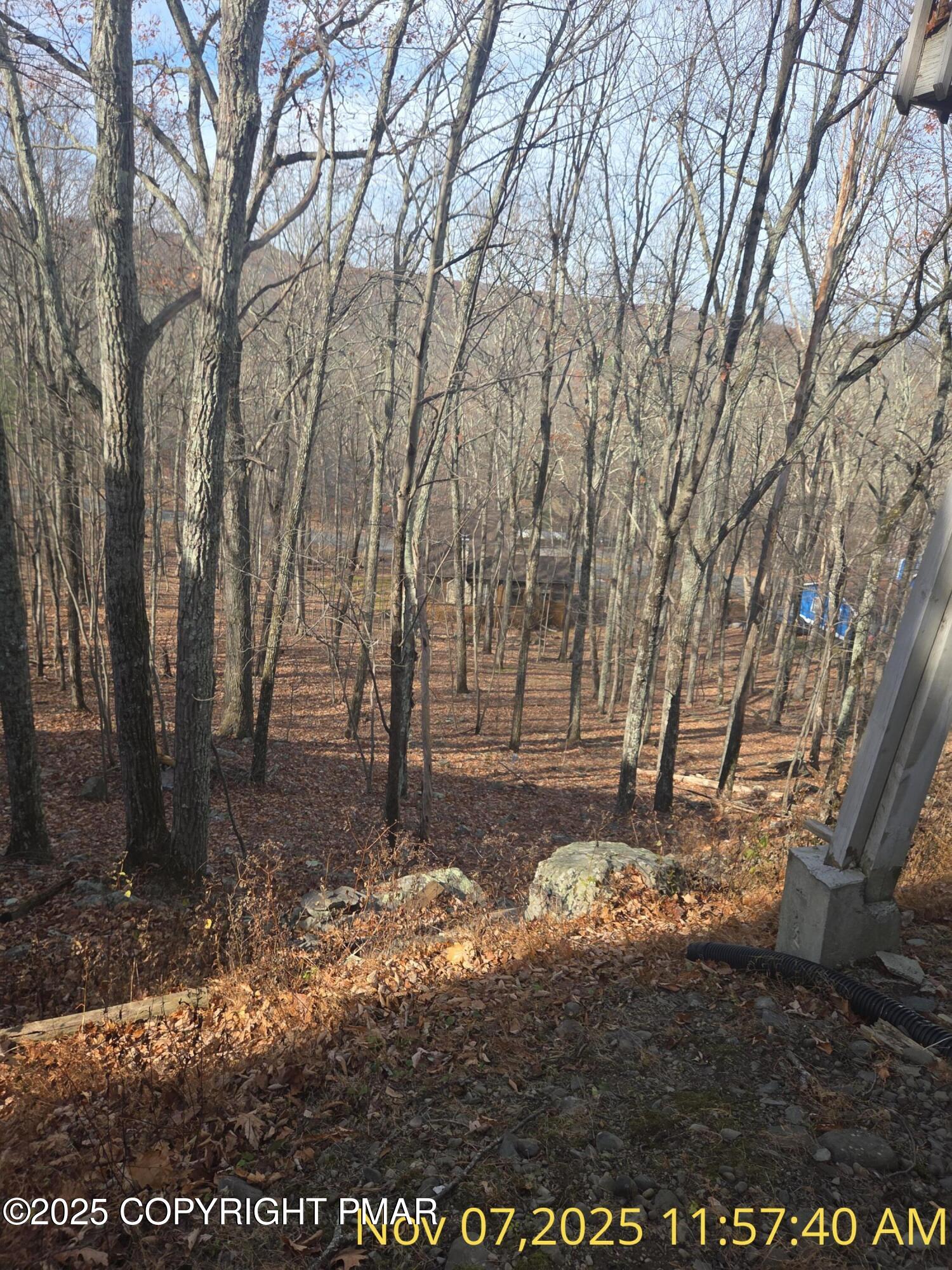 1107 Hampstead Road Bushkill, PA 18324 - Photo 17 of 20 a view of a yard with large trees