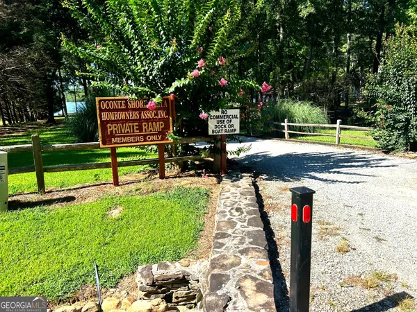 a view of a park with large trees