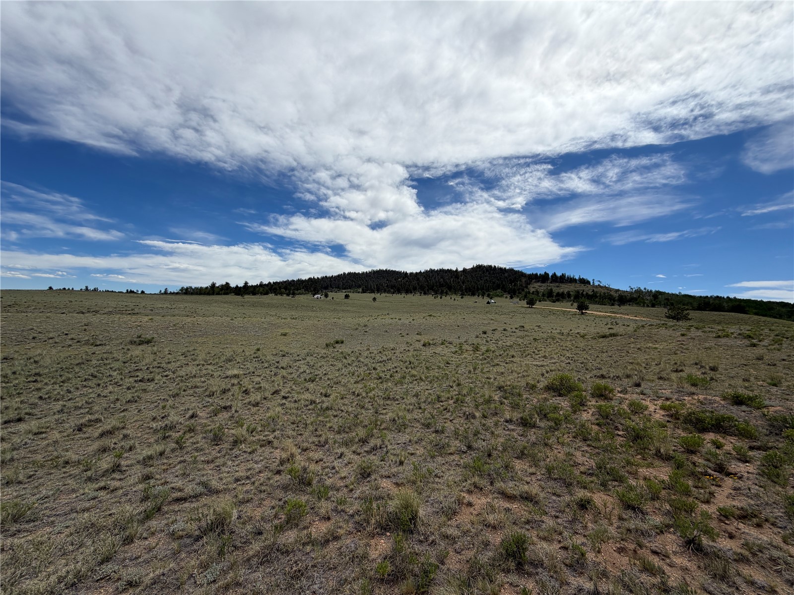776 Commanche Trail Hartsel, CO 80449 - Photo 11 of 24