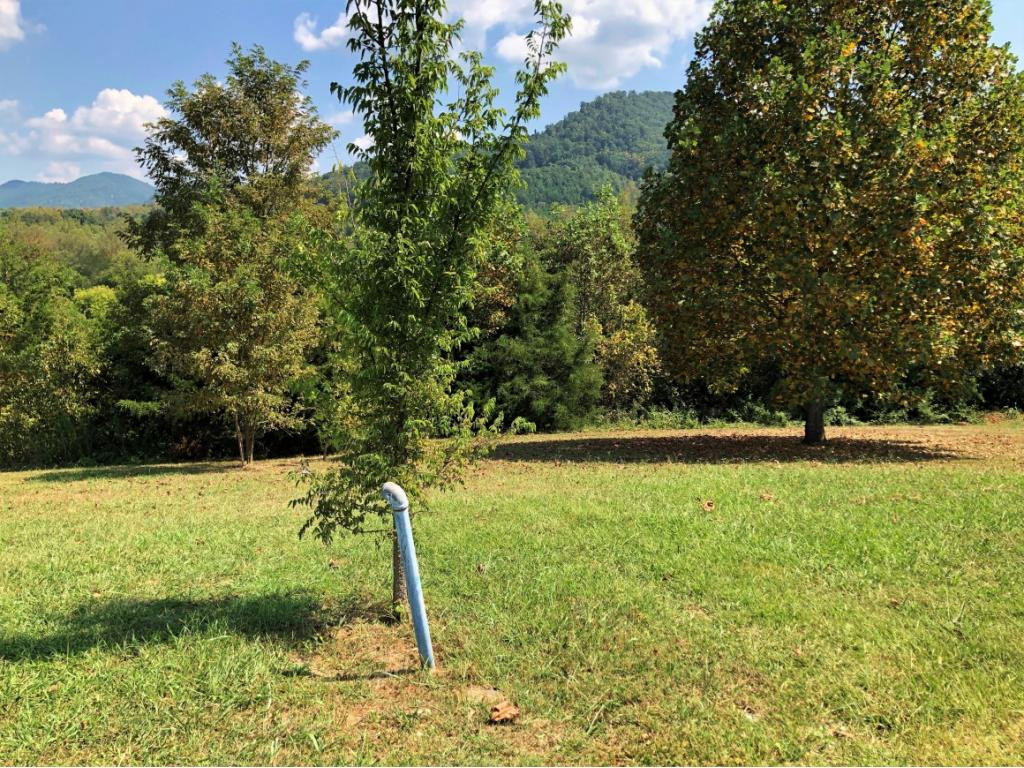 0 Amaryllis Road, Unit 78 Newport, TN 37821 - Photo 1 of 9 Photo 1