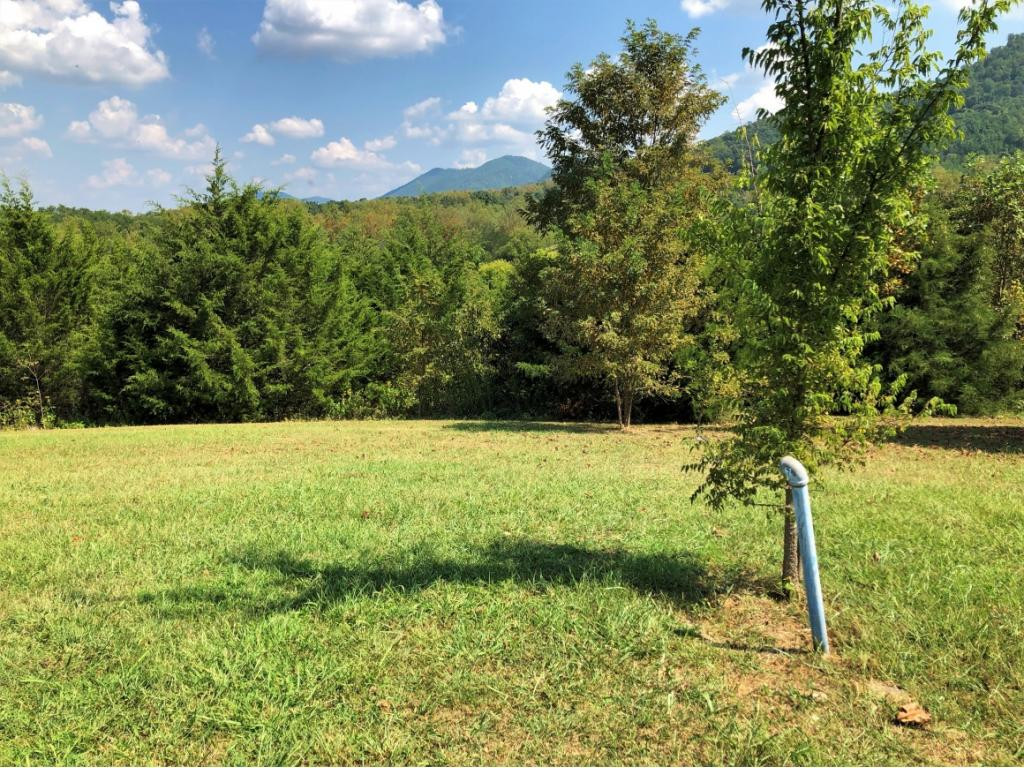 0 Amaryllis Road, Unit 78 Newport, TN 37821 - Photo 2 of 9 Photo 2