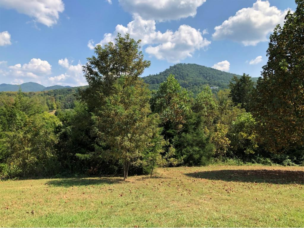 0 Amaryllis Road, Unit 78 Newport, TN 37821 - Photo 3 of 9 Photo 3
