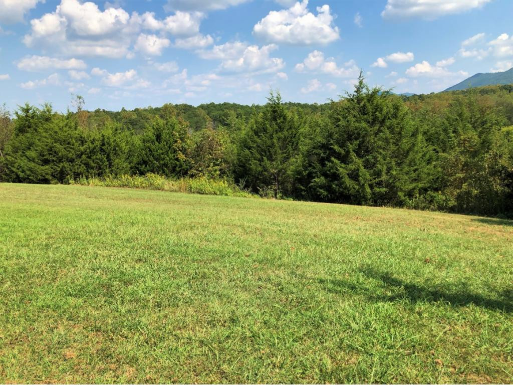0 Amaryllis Road, Unit 78 Newport, TN 37821 - Photo 4 of 9 Photo 4