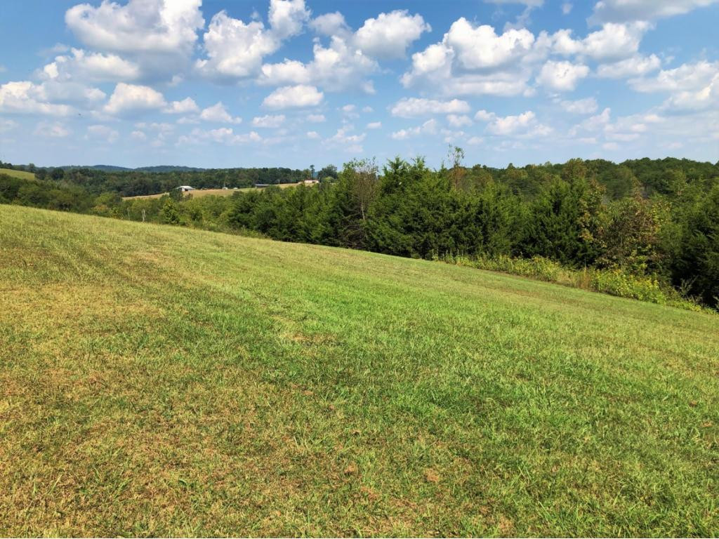 0 Amaryllis Road, Unit 78 Newport, TN 37821 - Photo 5 of 9 Photo 5
