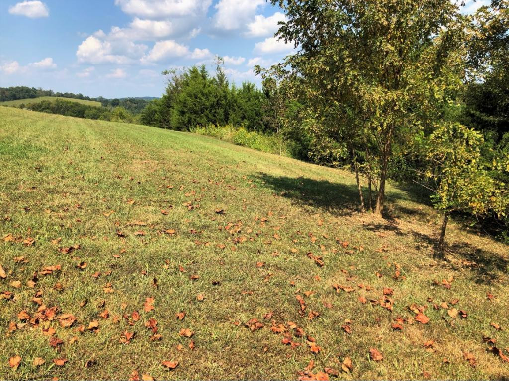 0 Amaryllis Road, Unit 78 Newport, TN 37821 - Photo 6 of 9 Photo 6