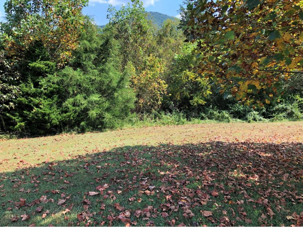 0 Amaryllis Road, Unit 78 Newport, TN 37821 - Photo 7 of 9 Photo 7