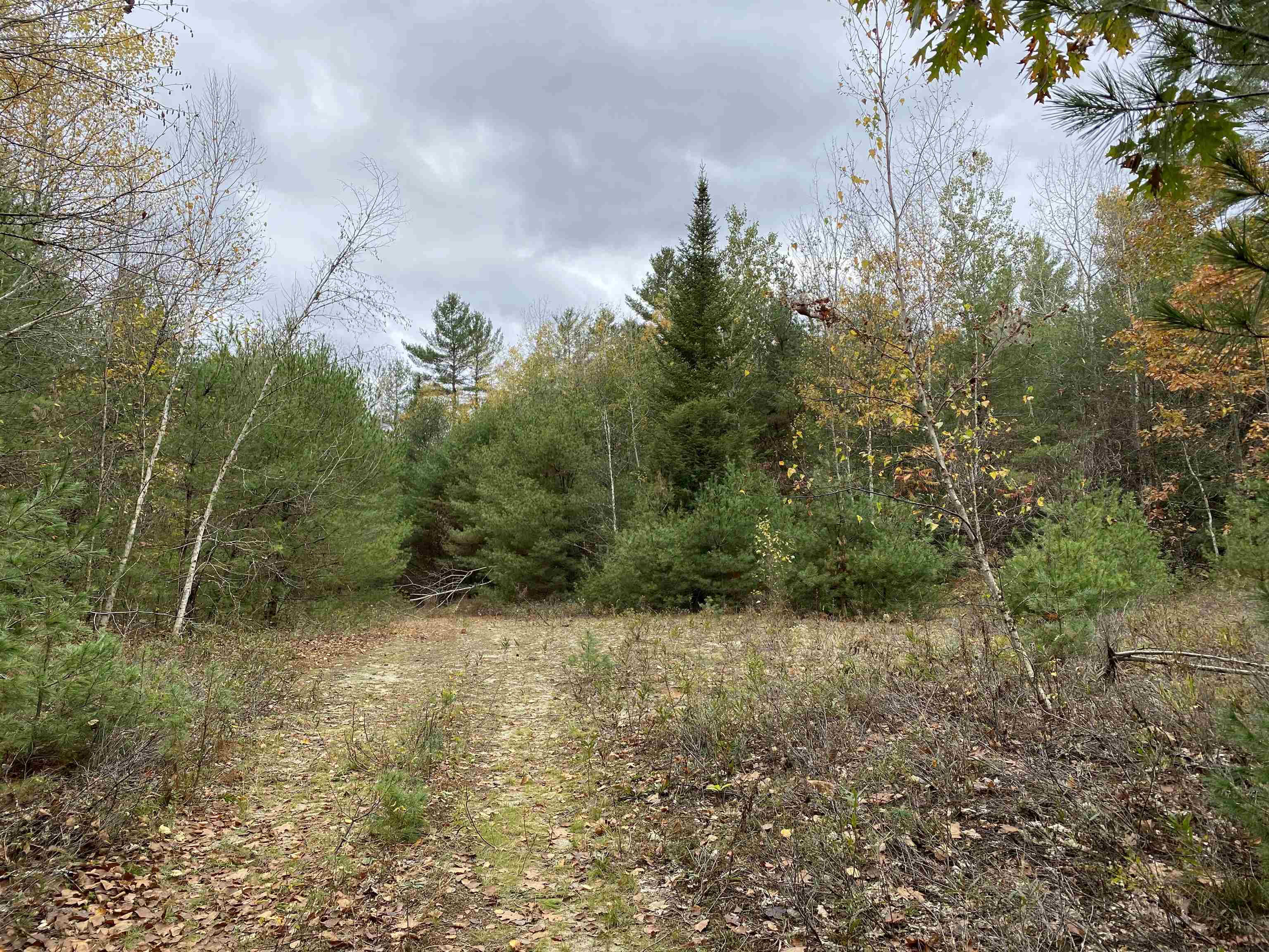 0 Plain Road Bath, NH 03740 - Photo 2 of 8