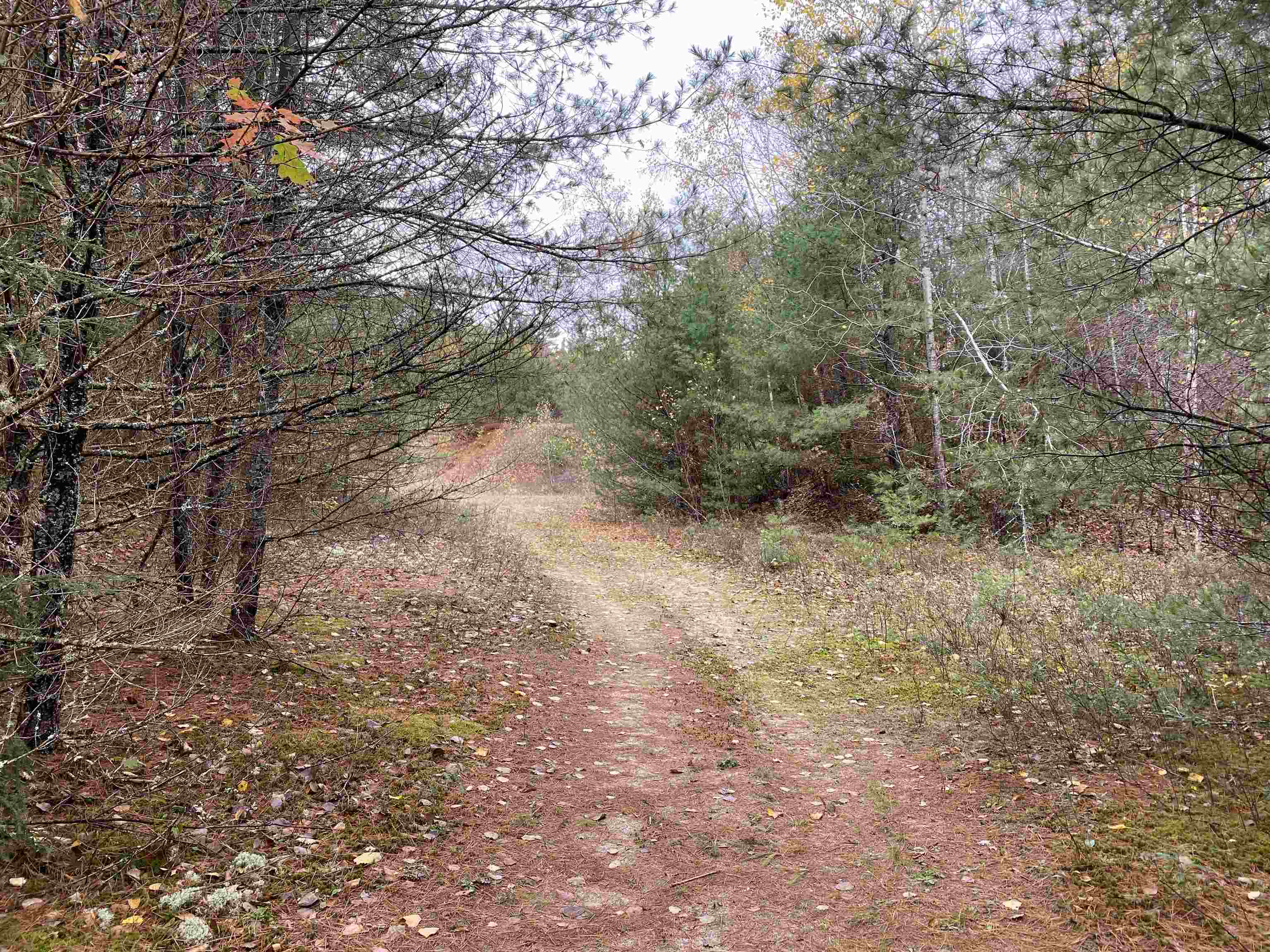 0 Plain Road Bath, NH 03740 - Photo 3 of 8