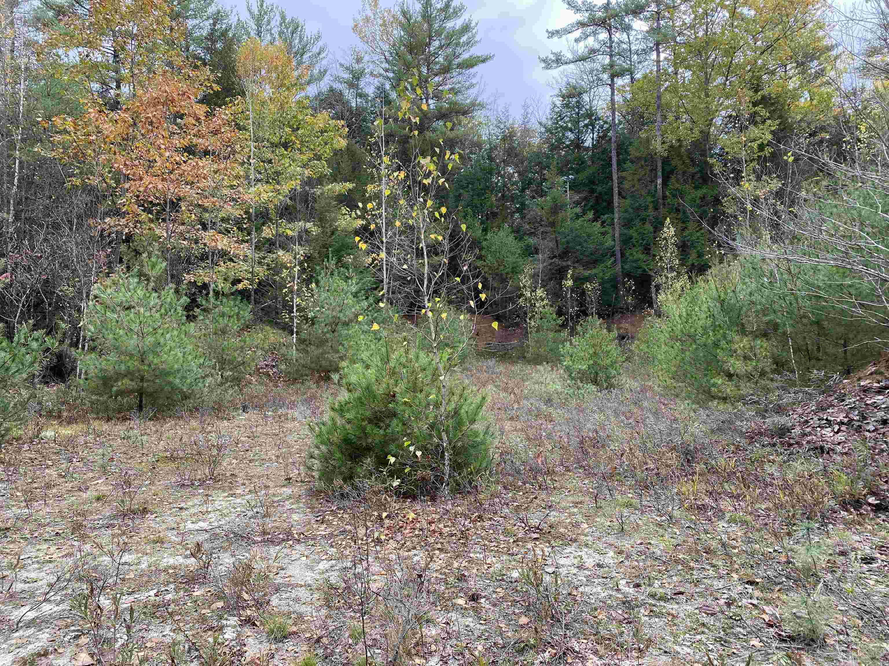 0 Plain Road Bath, NH 03740 - Photo 6 of 8