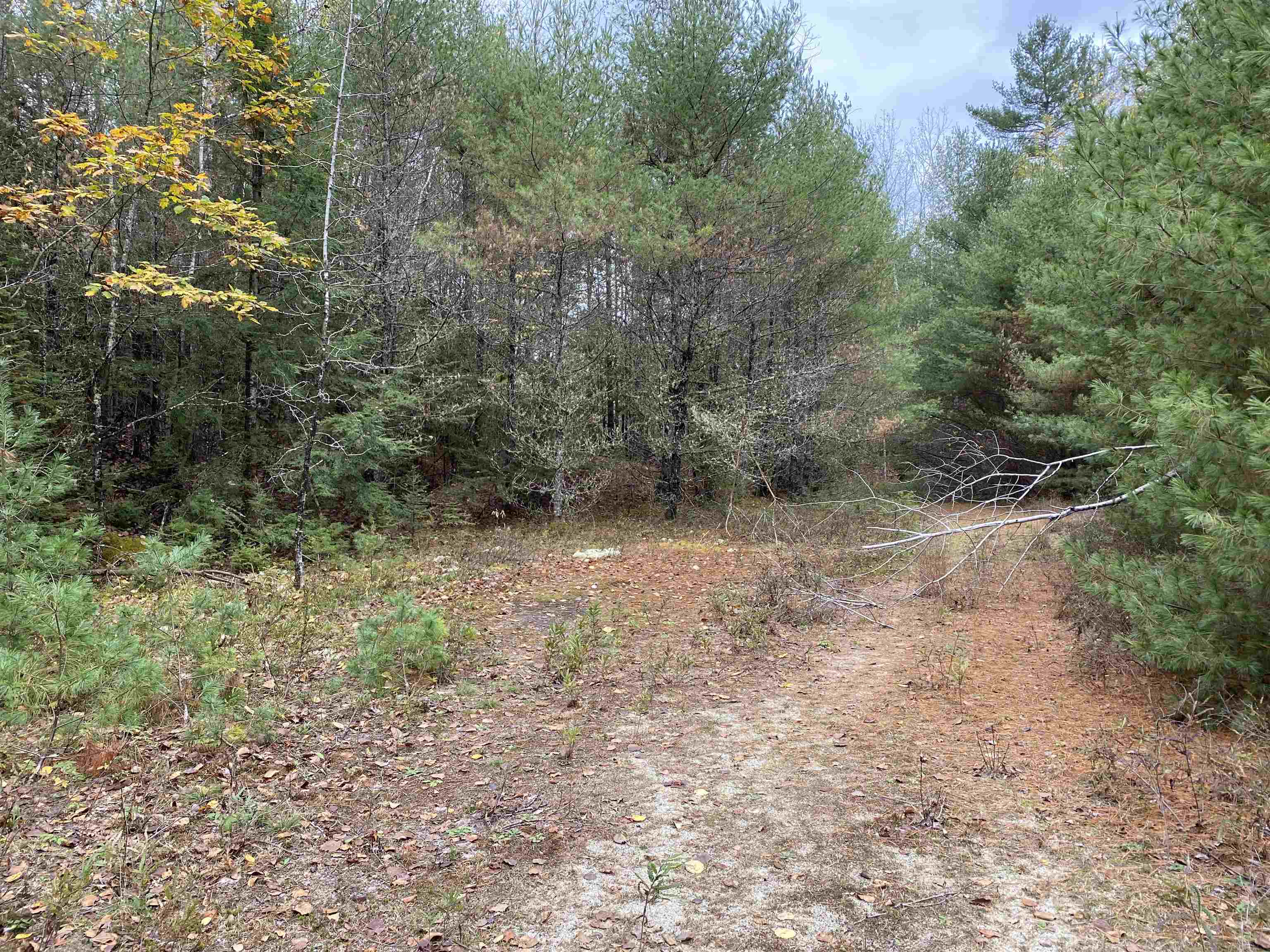 0 Plain Road Bath, NH 03740 - Photo 7 of 8