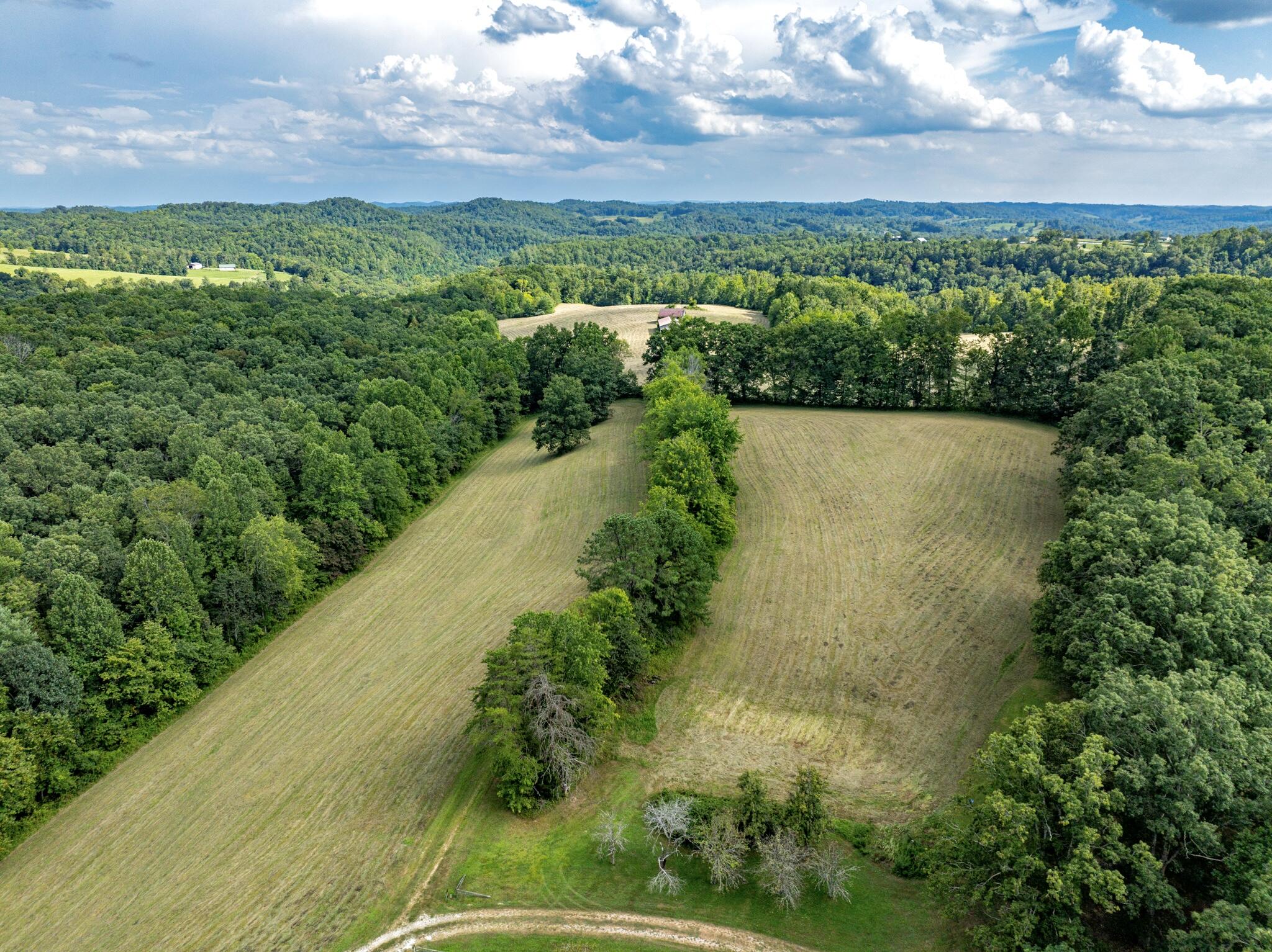 1195 Hoop Road Wellington, KY 40387 - Photo 64 of 68 DJI_0350-Enhanced-SR