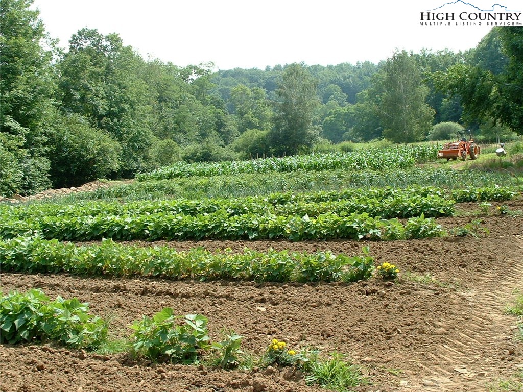 9570 3 Top Road Todd, NC 28684 - Photo 19 of 32 Gallery Image 19