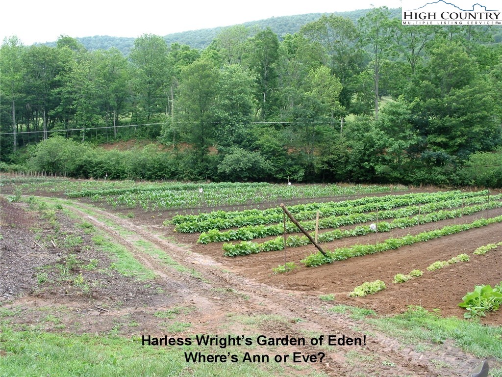 9570 3 Top Road Todd, NC 28684 - Photo 20 of 32 Gallery Image 20
