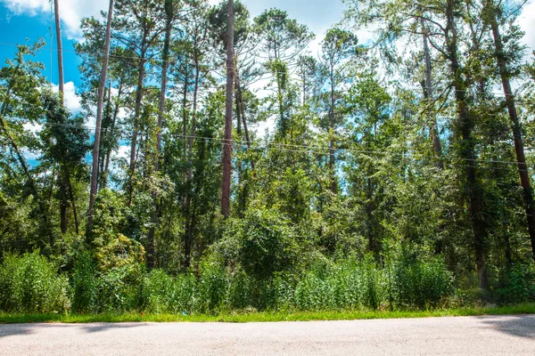 $95,000 | Lot 5 Furey Drive, Clarks Hill, SC 29821