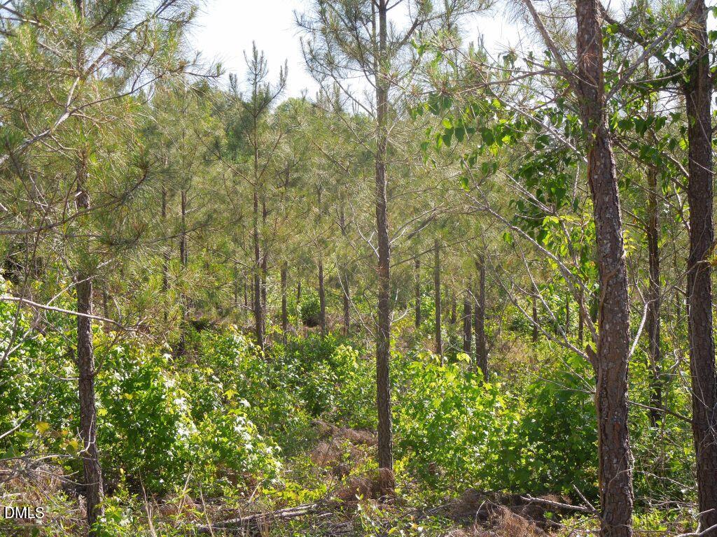 0 River Road Henrico, NC 27842 - Photo 23 of 33 DSCN0575
