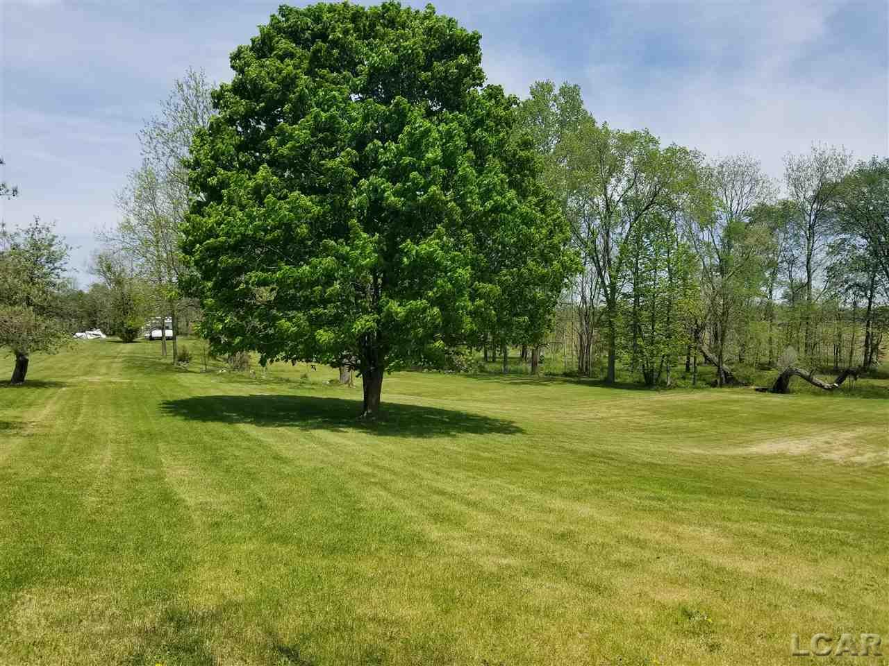 10406 Beecher Road Clayton, MI 49235 - Photo 9 of 13