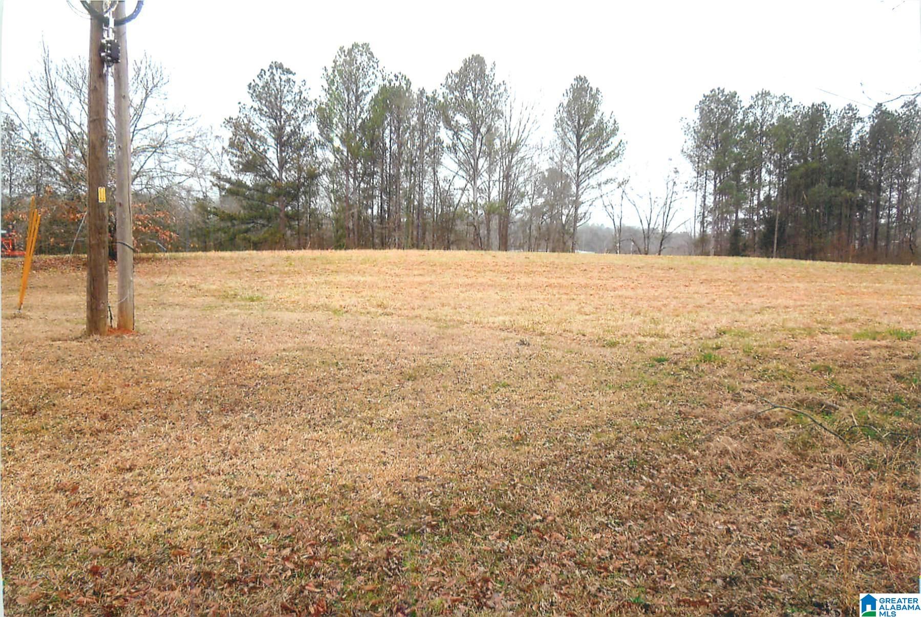 124 Pond Road Cropwell, AL 35054 - Photo 12 of 14 Gallery Image 12