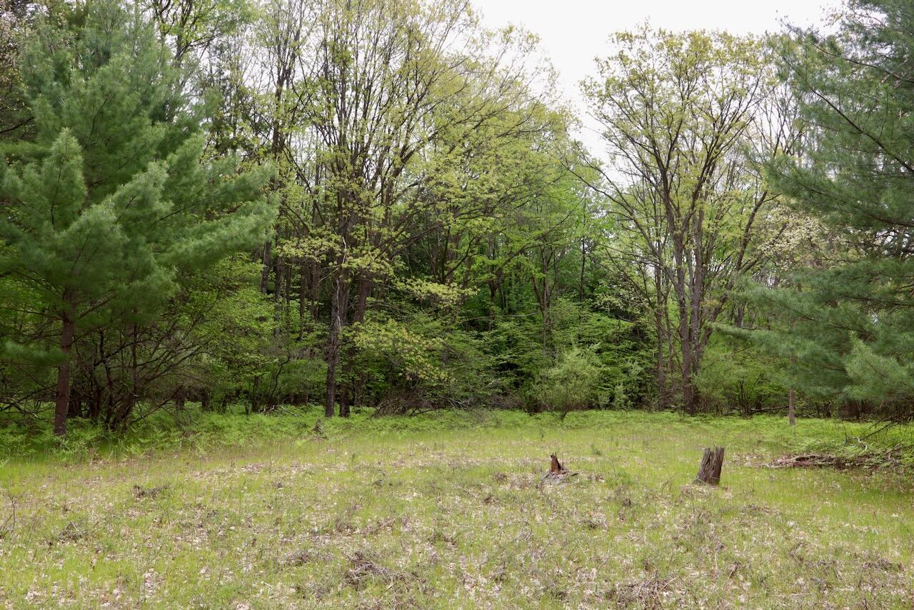 6153 South Branch Road Branch, MI 49402 - Photo 31 of 70 27