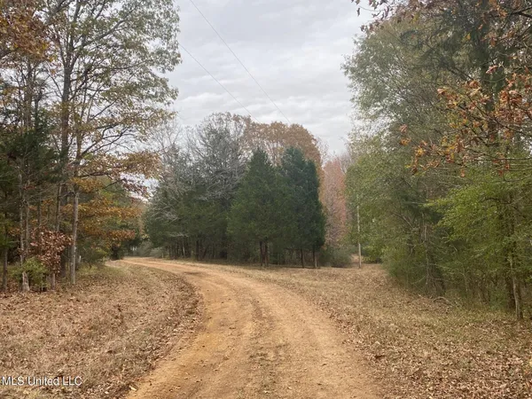 $479,000 | 2085 Yellow Dog Road, Senatobia, MS 38668