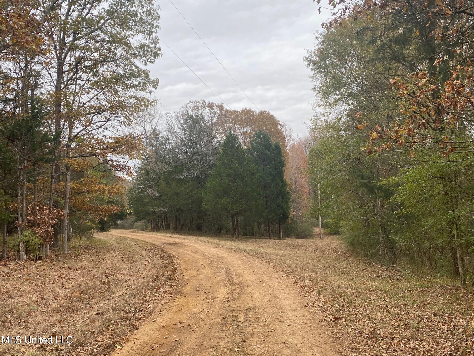 2085 Yellow Dog Road Senatobia, MS 38668 - Photo 37 of 48 Driveway