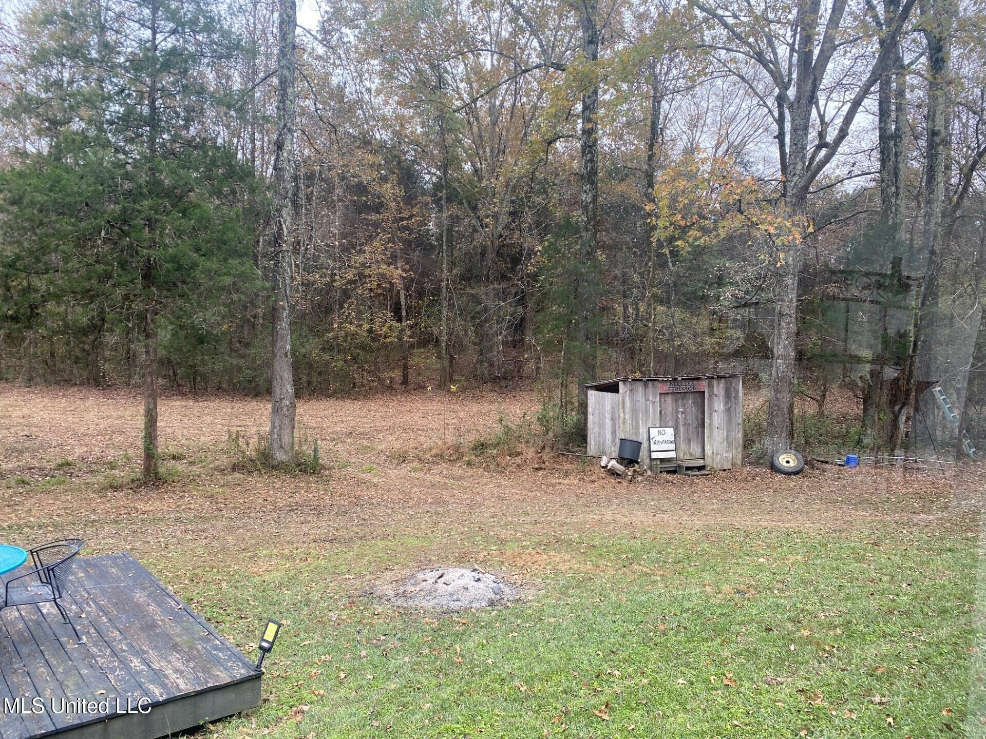 2085 Yellow Dog Road Senatobia, MS 38668 - Photo 42 of 48 Back yard