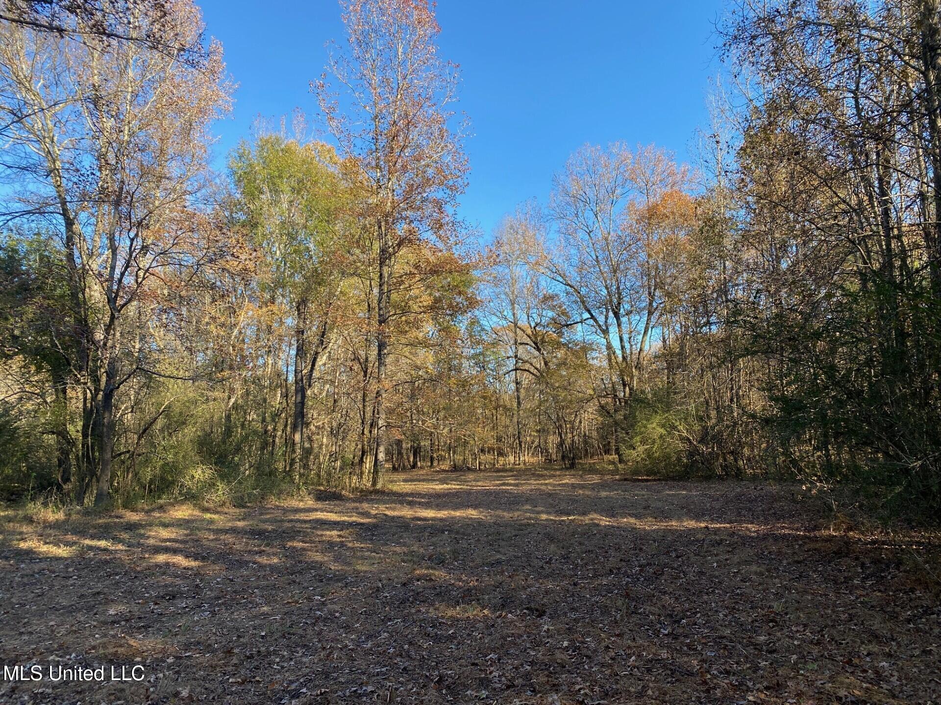 2085 Yellow Dog Road Senatobia, MS 38668 - Photo 43 of 48 Yard