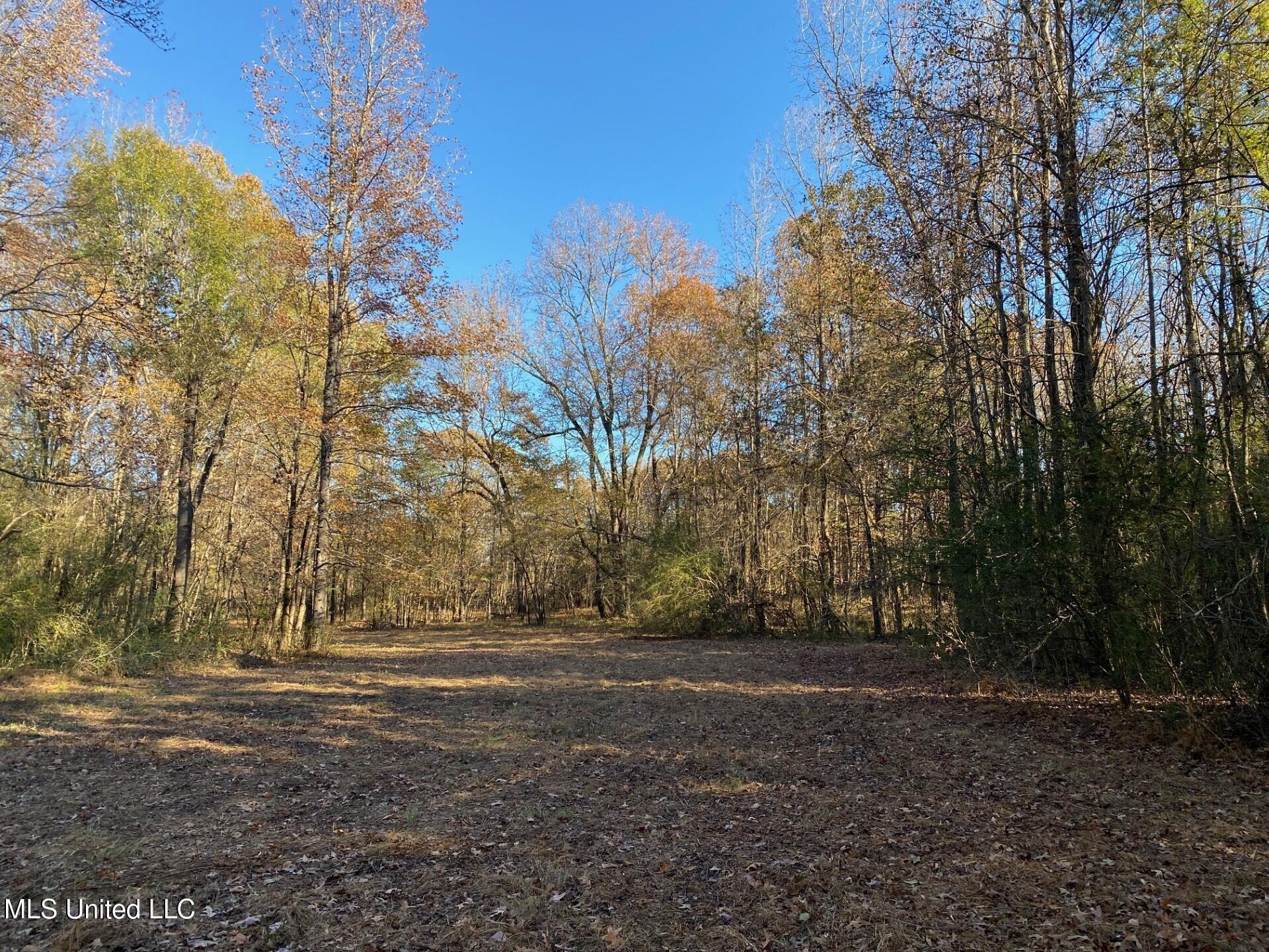 2085 Yellow Dog Road Senatobia, MS 38668 - Photo 44 of 48 Yard