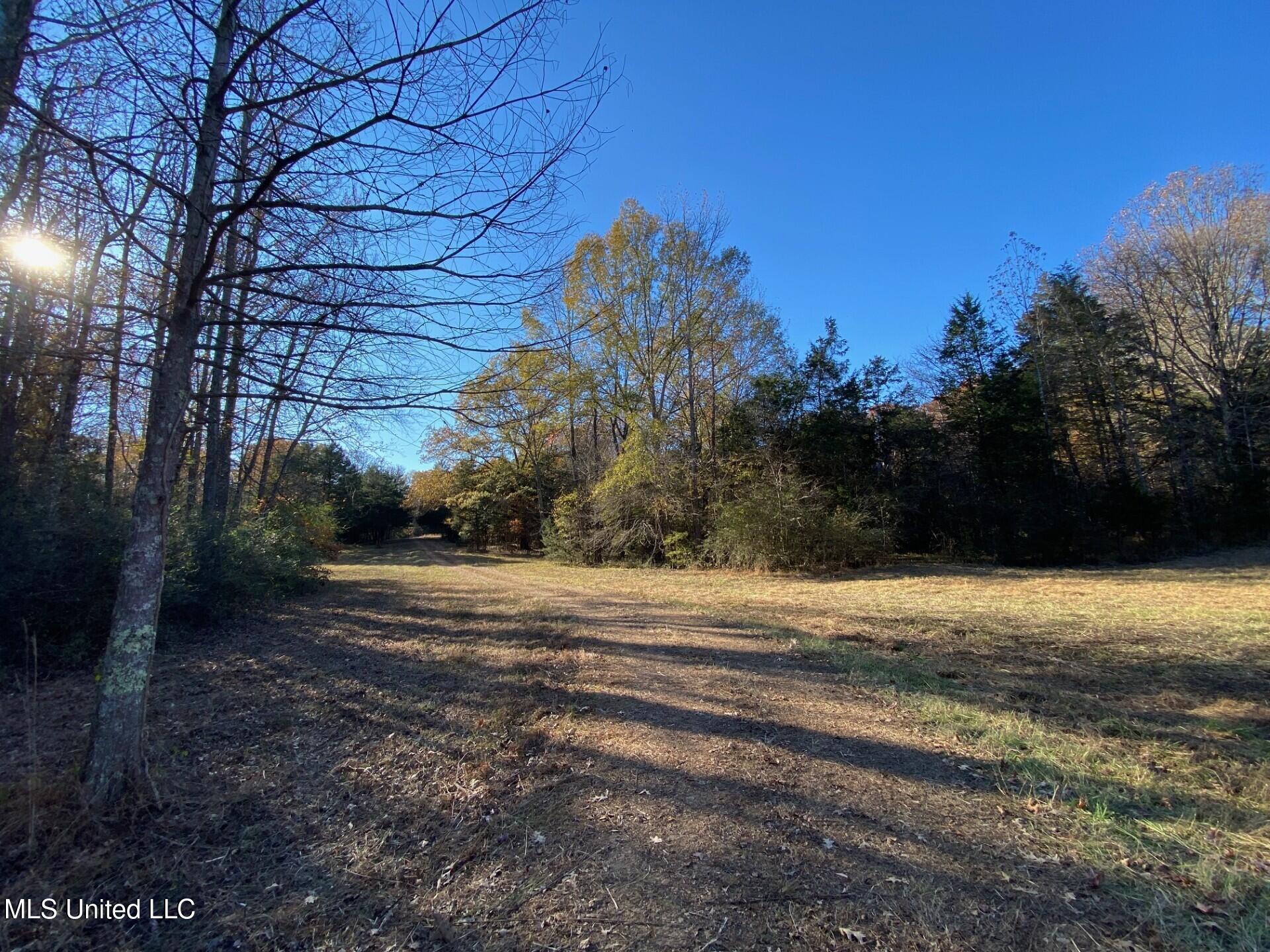 2085 Yellow Dog Road Senatobia, MS 38668 - Photo 46 of 48 Beautiful View