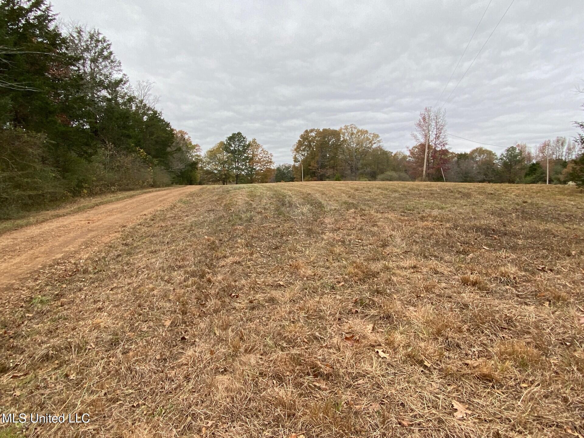 2085 Yellow Dog Road Senatobia, MS 38668 - Photo 48 of 48 Yard