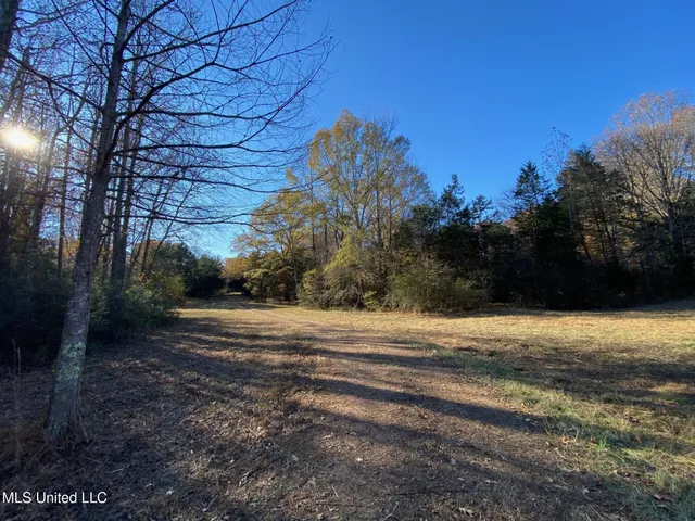 $479,000 | 2085 Yellow Dog Road, Senatobia, MS 38668