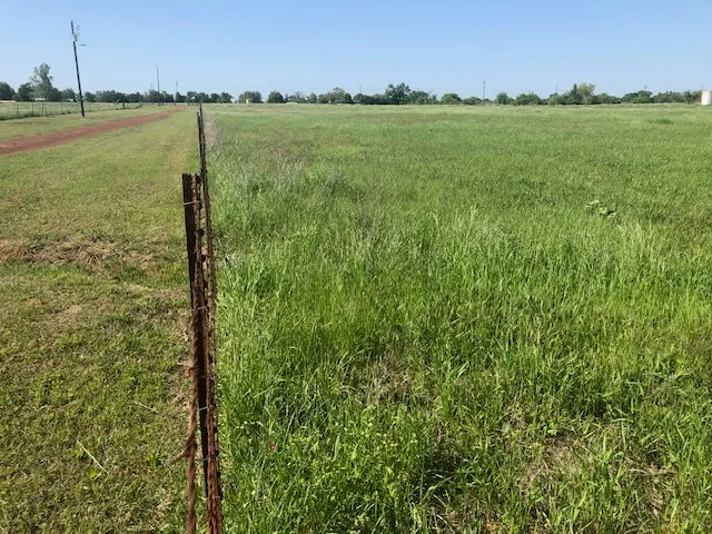 a view of a garden from a yard