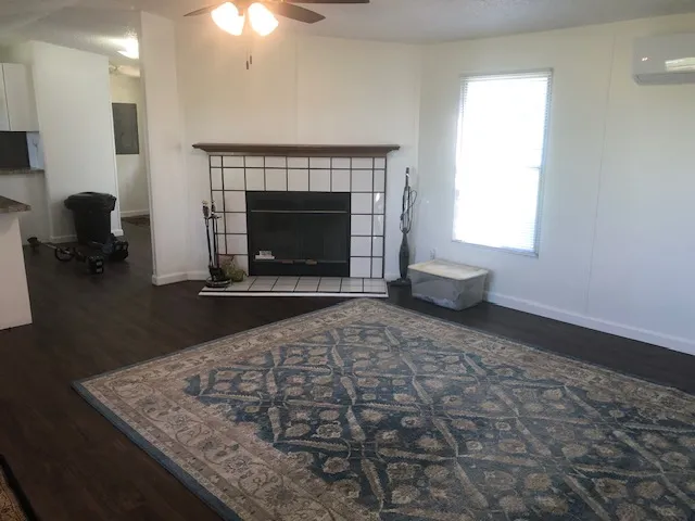 a view of a backyard with plants