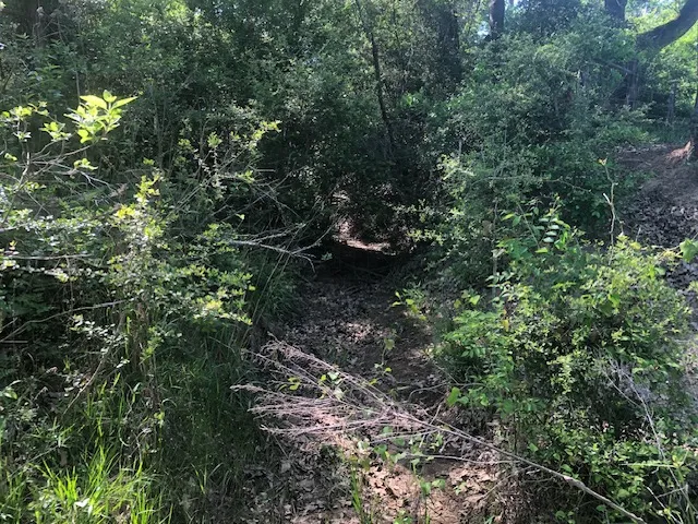 a view of an outdoor space and a yard