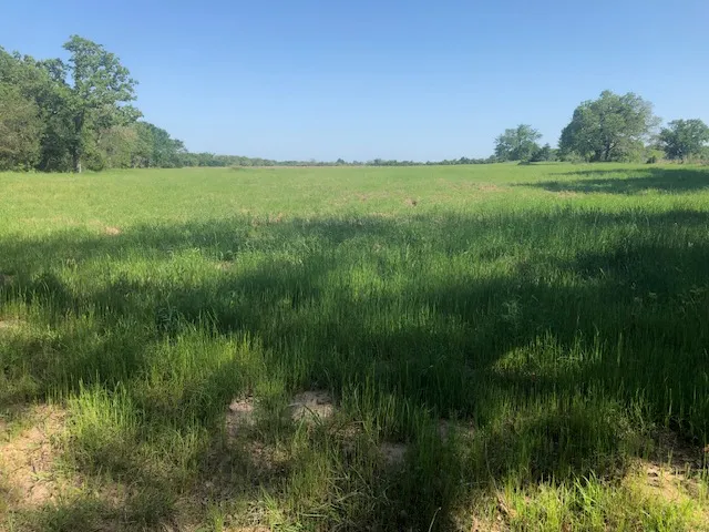 a view of a golf course with a lake