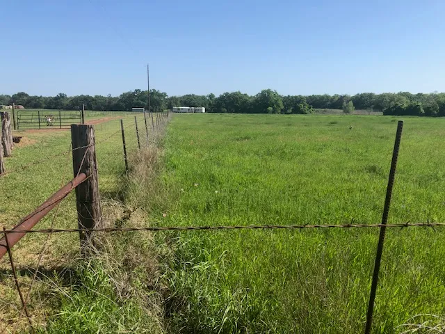 a view of a lake from a yard