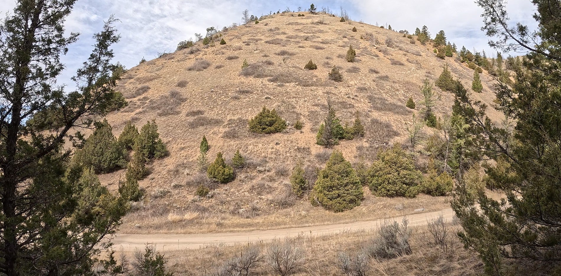 Three Pole Gulch Road Three Forks, MT 59752 - Photo 11 of 27 Looking from south side of road to north side. Other side good spot for solar panels.