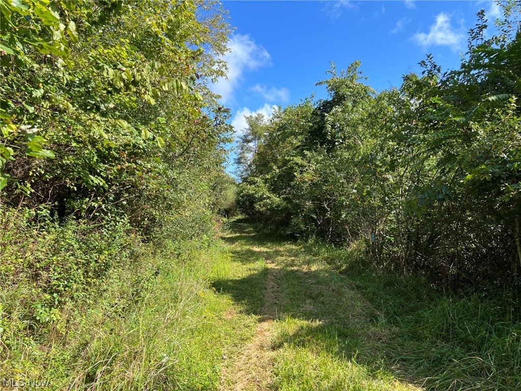 1 Salisbury Road Ivydale, WV 25113 - Photo 22 of 23