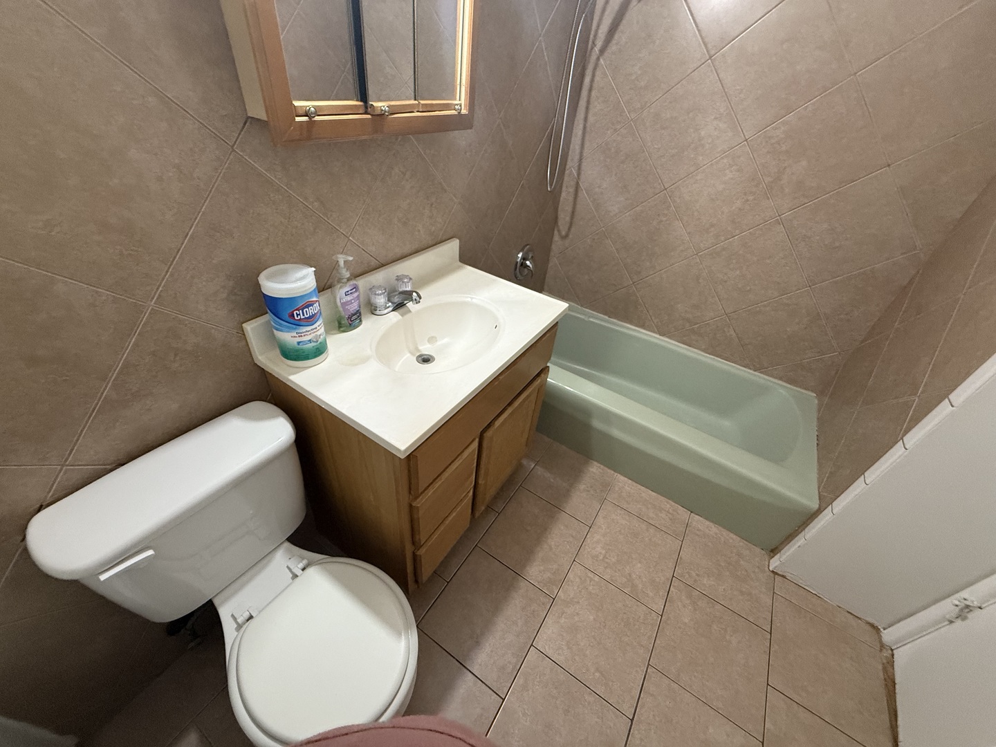 9575 Maple Drive, Unit 2S Rosemont, IL 60018 - Photo 11 of 12 a bathroom with a toilet a sink and a mirror