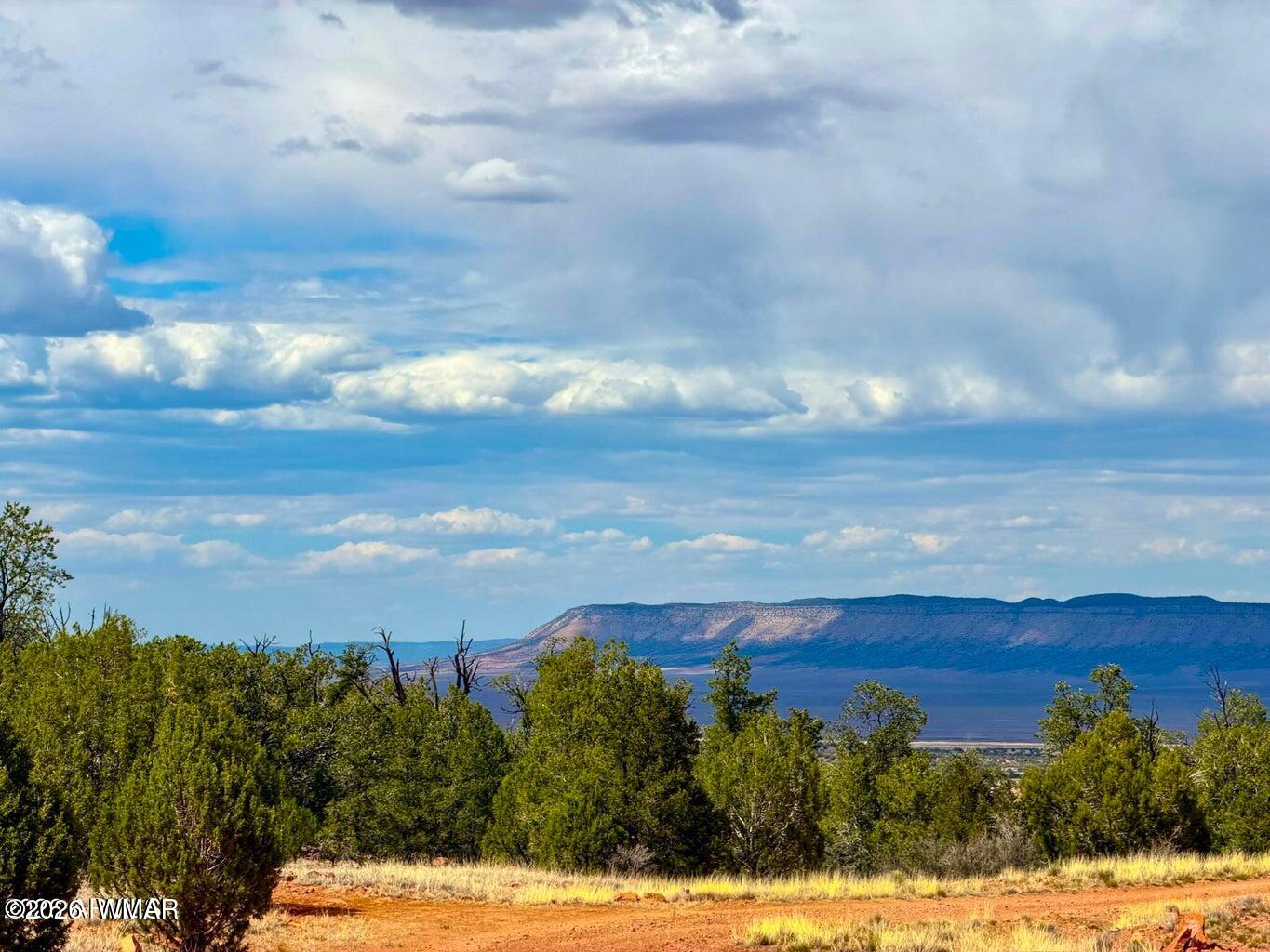 34962 West Hidalgo Road Seligman, AZ 86337 - Photo 28 of 28