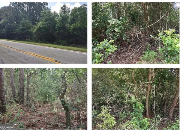 a view of outdoor space and garden