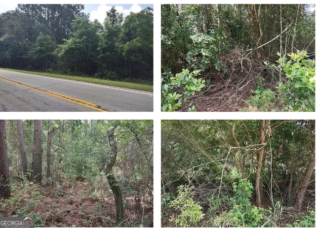 a view of outdoor space and garden