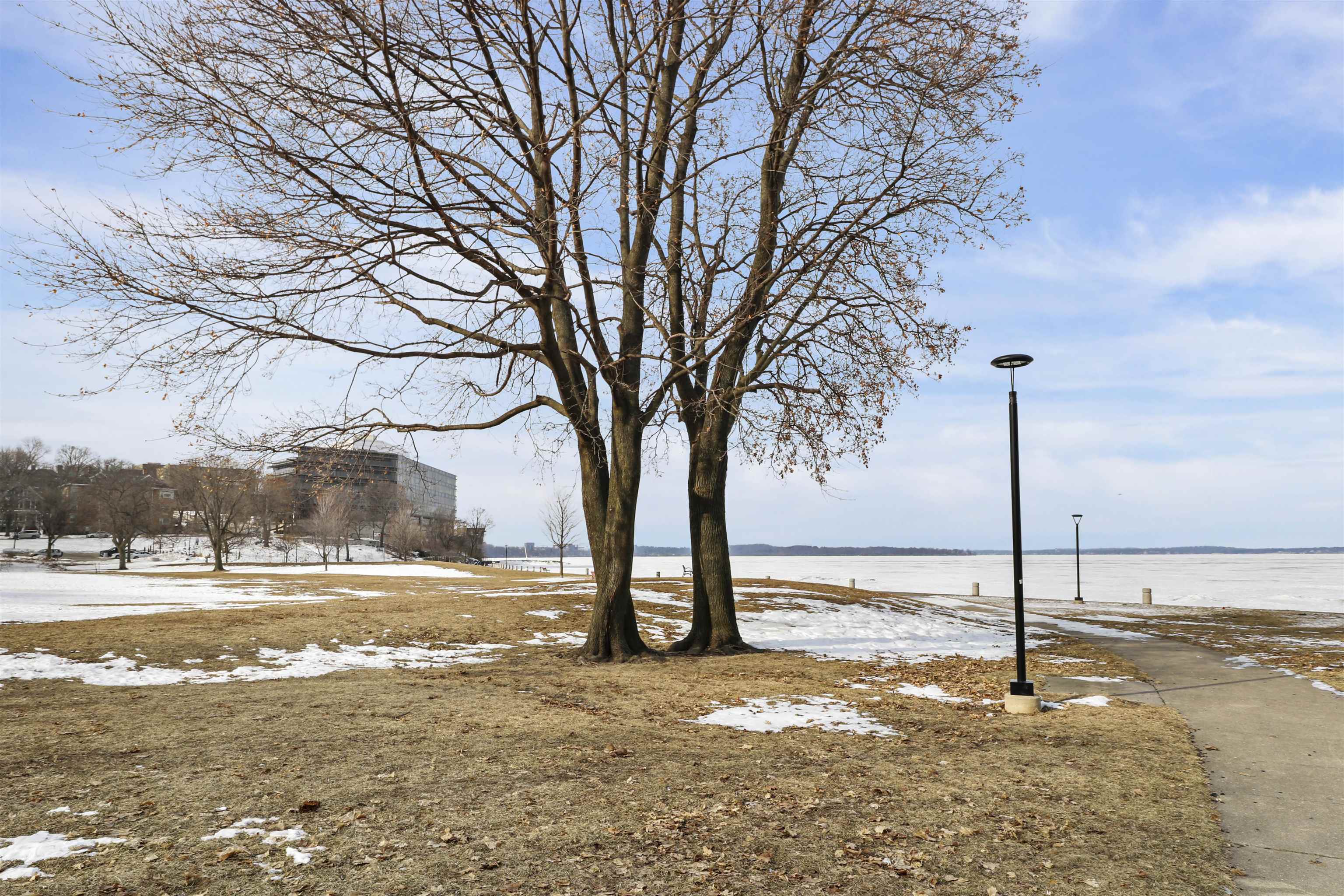 311 North Hancock Street, Unit 231 Madison, WI 53703 - Photo 25 of 32