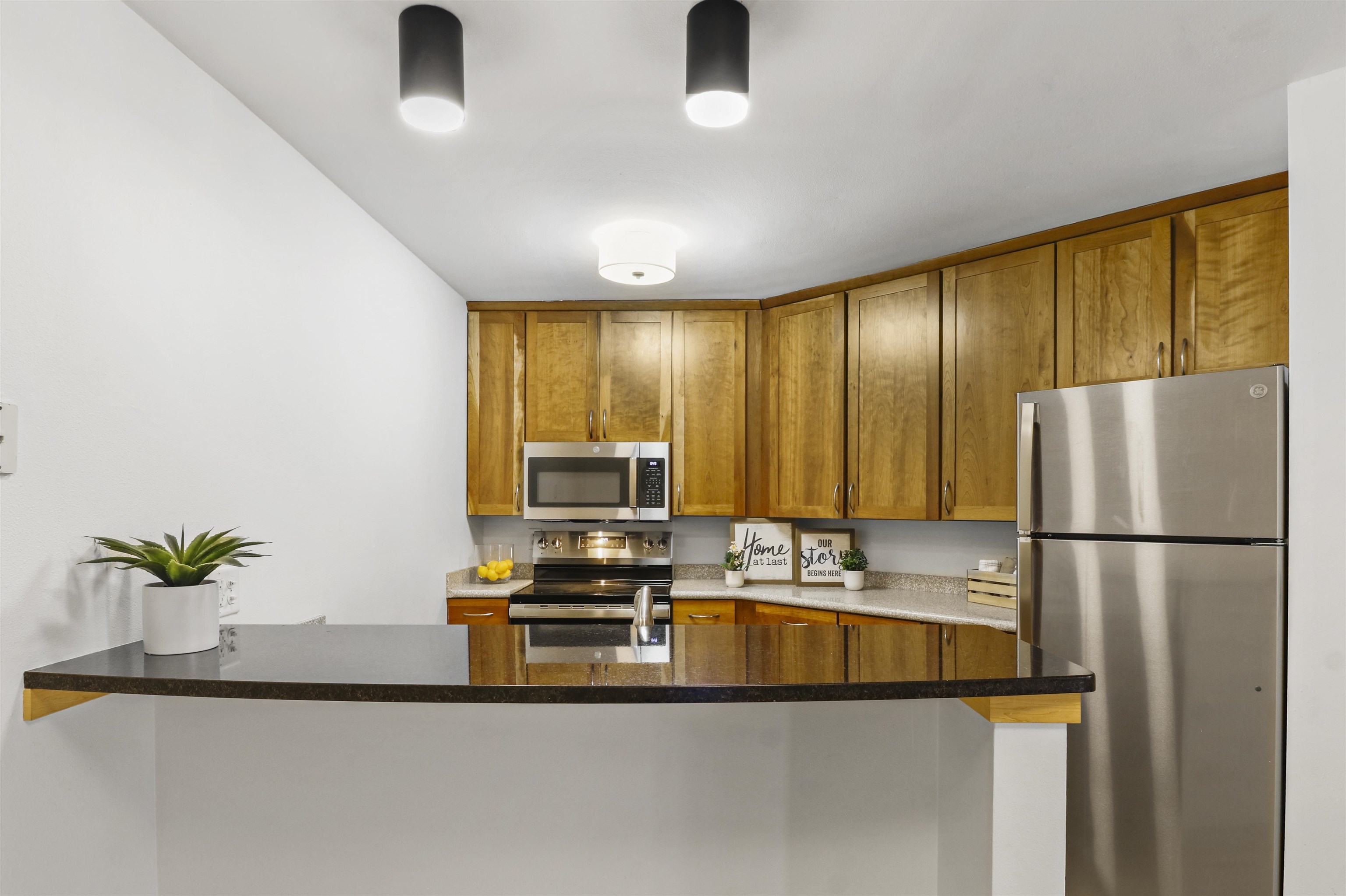 311 North Hancock Street, Unit 231 Madison, WI 53703 - Photo 3 of 32