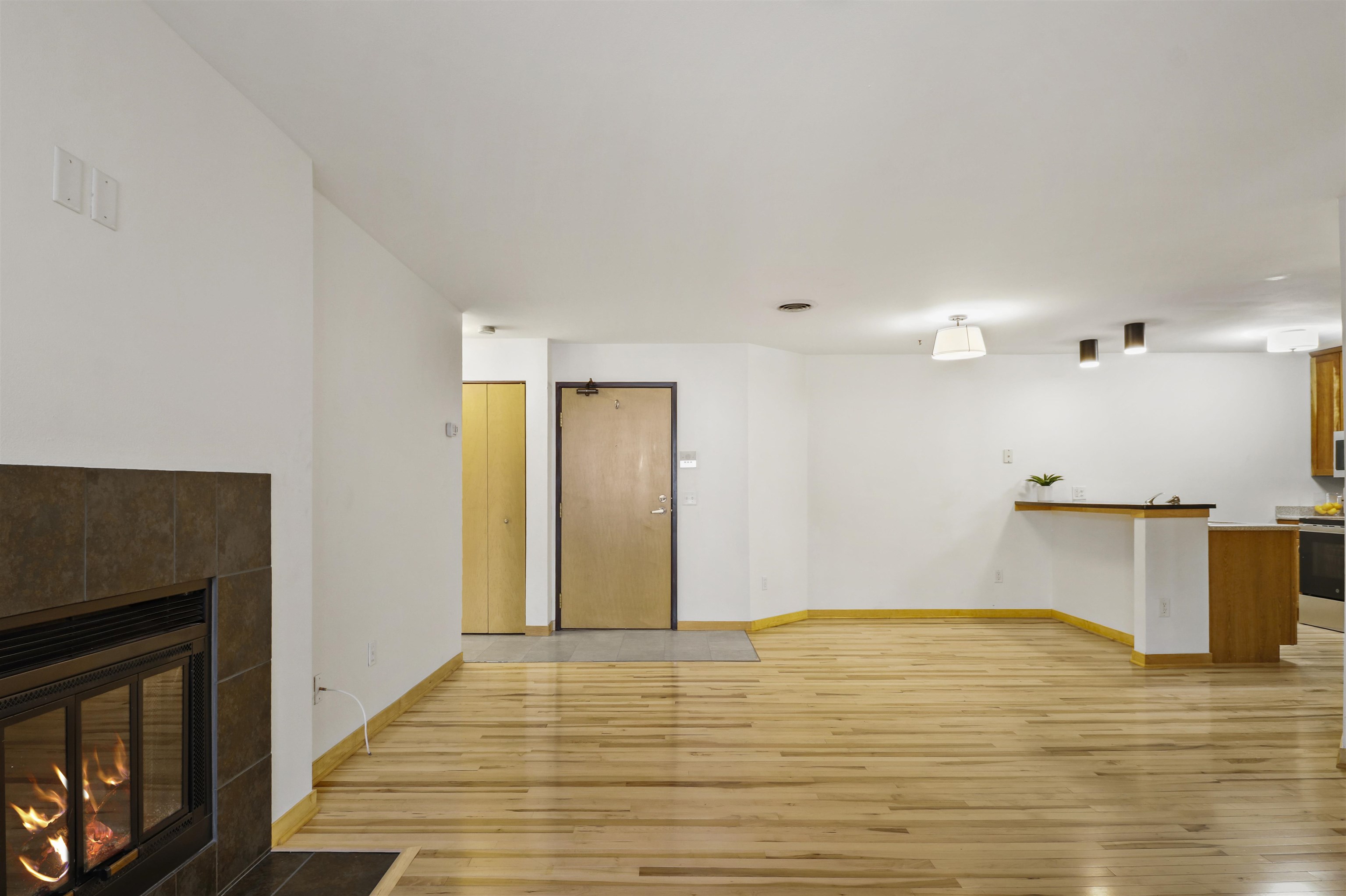 311 North Hancock Street, Unit 231 Madison, WI 53703 - Photo 8 of 32