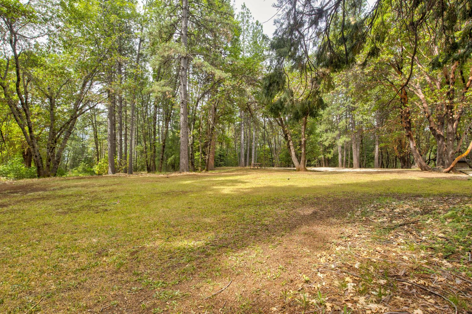 26270 Foresthill Road Foresthill, CA 95631 - Photo 5 of 54