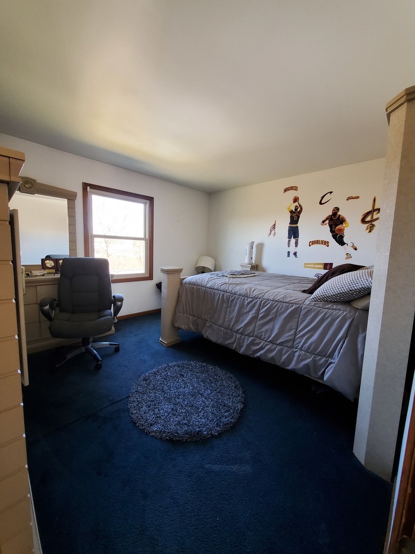 5620 Feather Creek Road Matteson, IL 60443 - Photo 15 of 19