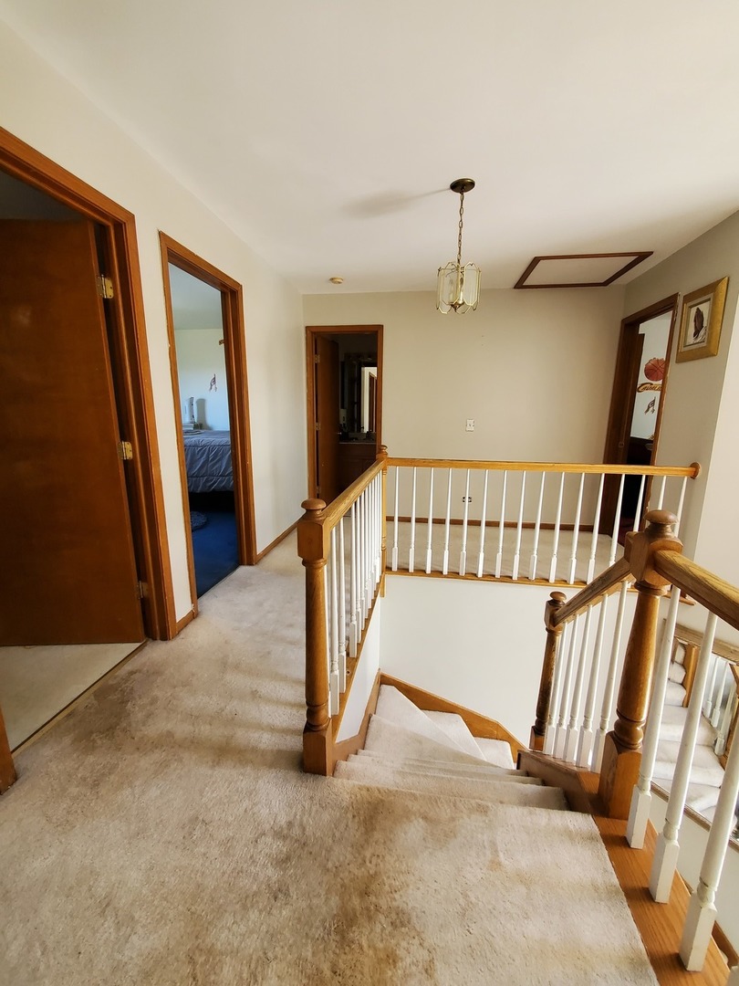 5620 Feather Creek Road Matteson, IL 60443 - Photo 16 of 19