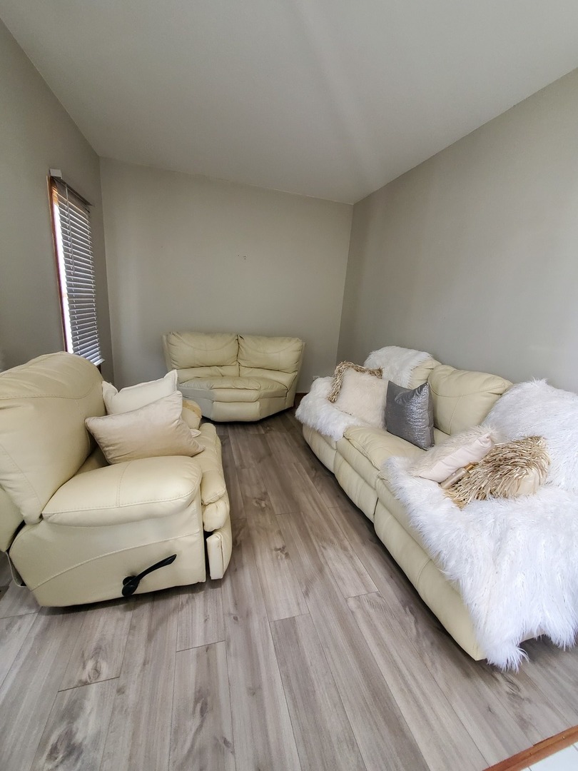 5620 Feather Creek Road Matteson, IL 60443 - Photo 3 of 19