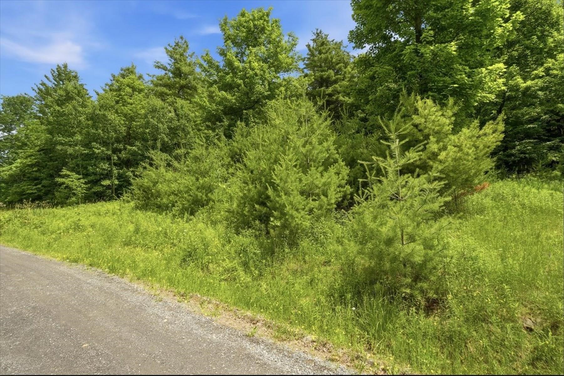 1870 Shacksboro Road, Unit LOT 1 Shoreham, VT 05770 - Photo 12 of 16