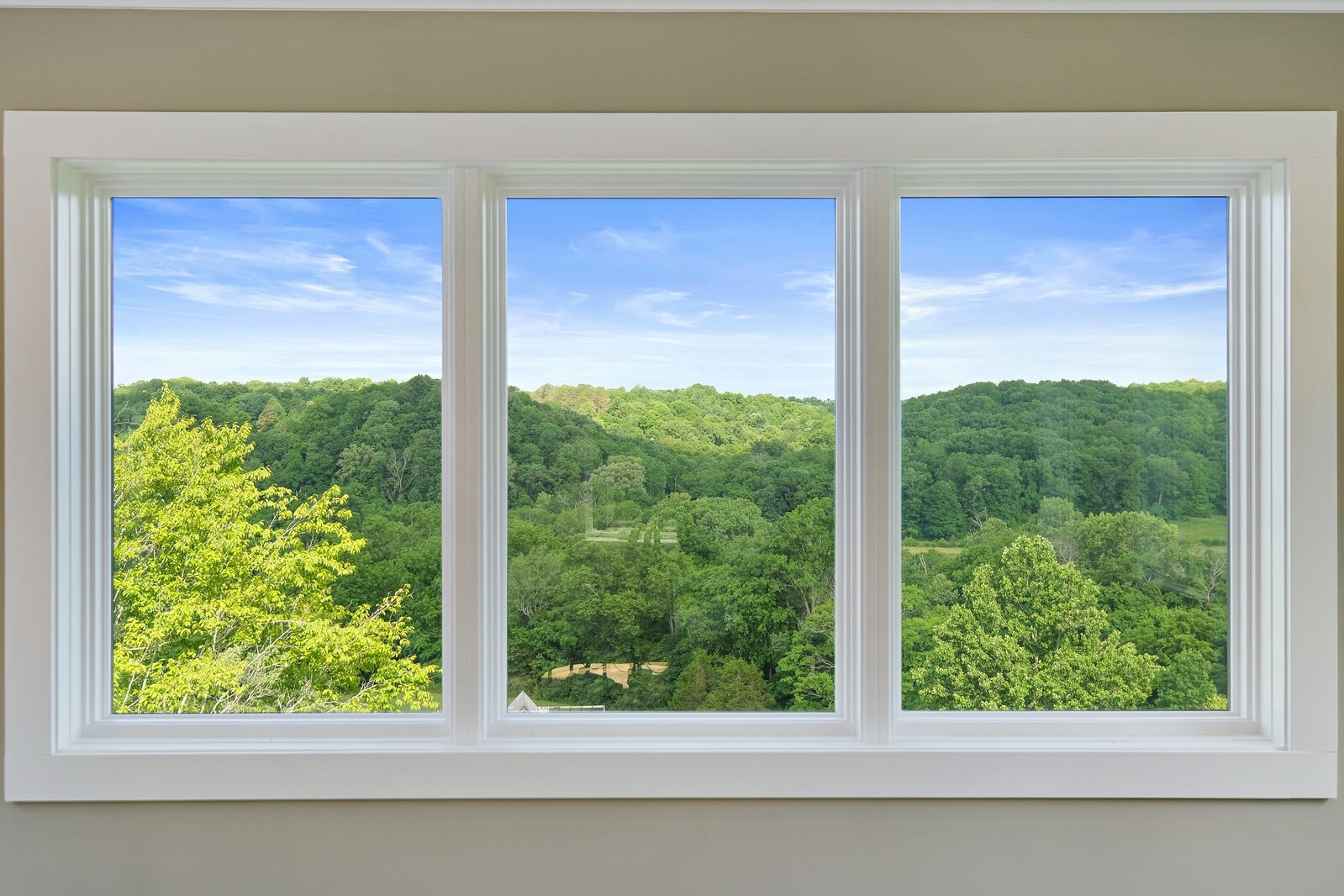 5304 Old Harding Road Franklin, TN 37064 - Photo 49 of 67 a view of a wooden door and a window